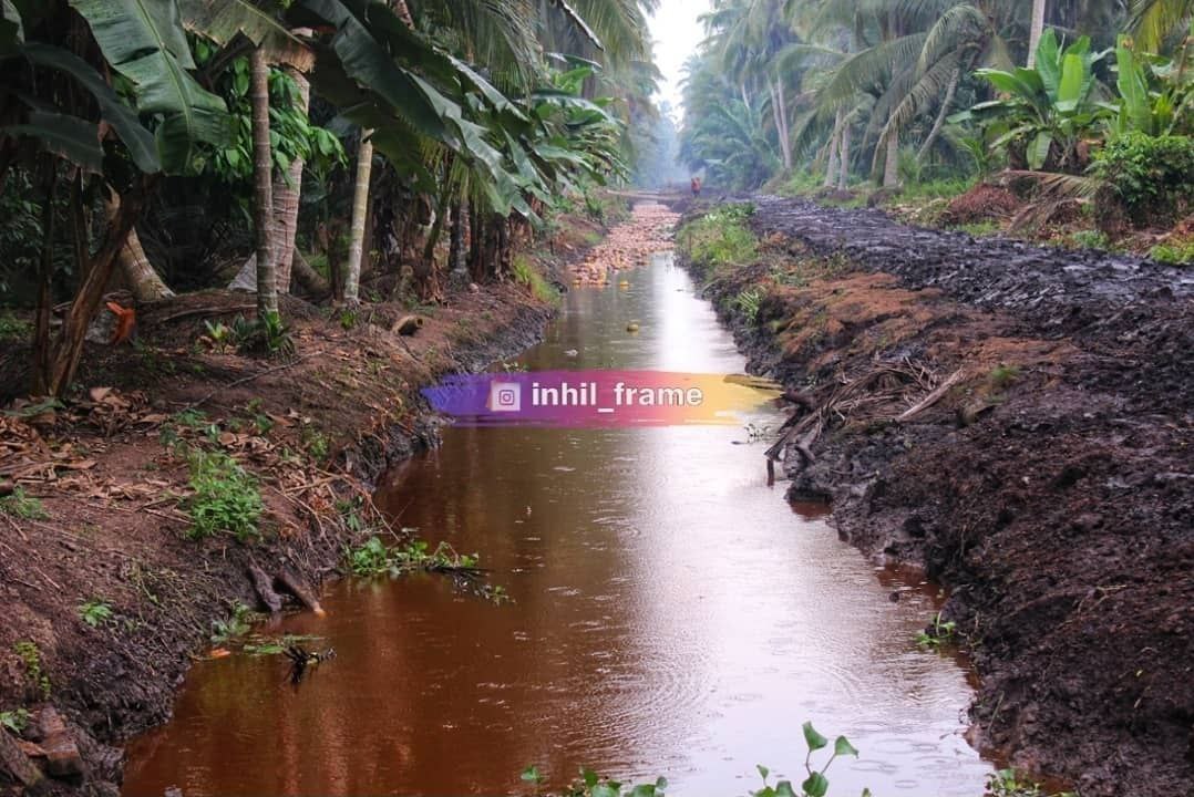 GAMBUT DAN PERKEBUNAN GAMBUT DAN PERKEBUNAN