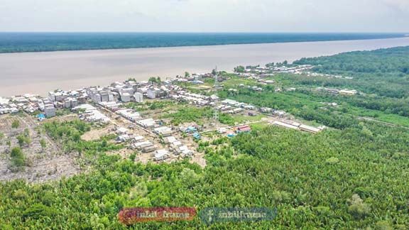 NIPAH DAN MASYARAKAT PESISIR